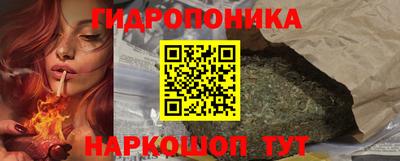 индика Будённовск