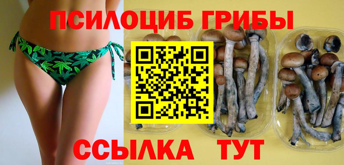 Псилоцибиновые грибы GOLDEN TEACHER  Вход с VPN  Темрюк 